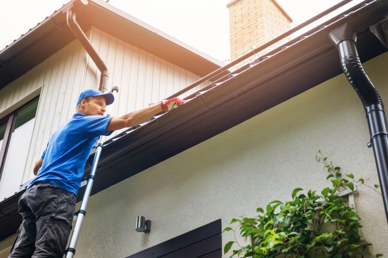 Clean and Maintained Gutters